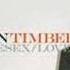 Justin Timberlake Damn Girl LYRICS