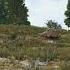 PUBG ROCK EATS MOTORCYCLE