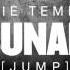 DVBBS Borgeous Feat Tinie Tempah Tsunami Jump