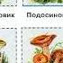 Страница 69 Рабочая тетрадь по окружающему миру за 4 класс 1 часть Плешаков Школа России
