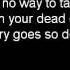 Fallout Boy Dead On Arrival Lyrics