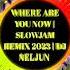 WHERE ARE YOU NOW BY JIMMY HARNEN SLOWJAM REMIX 2023 DJ NELJUN PRANDAS