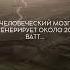 Интересные факты о природе 2 Facts факты