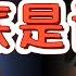吉利汽车背后是谁 太魔幻 推特发言竟被公司开除 公权力迫害有多狠 华人要坚决扎根海外 中国 政治 经济 移民 吉利 中共 大老王智汇
