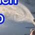 2 Step Chem X And Brush Wash EXTREAMLY DIRTY Truck Fleet Washing