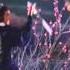 Ti Lung Derek Yee Vs Yueh Hua The Sentimental Swordsman 1977 Final Fight
