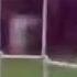 ТОП 5 БЕХТАРИН ГОЛХО ВА ФИНТХОИ LIONEL MESSI
