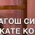 Озвучка несан Для снохи