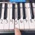 Tiktok Trend Piano Tutorial Can Can Shorts