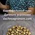 ЭЛИТА КАРТОФЕЛЯ секрет профессионалов Дачный агроном
