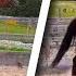 HOW TO GET YOUR HORSE ON THE BIT Thoroughbred Horses OTTB Series