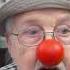 Old Man Steve Asking About Rudy Giuliani