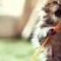 Kitty