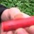 Walther P99 Test Vogelschreck Kat 4 Und Pfeifpatrone