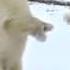 Bizet The Pearl Fishers Duet Theme From Wildlife Symphony