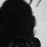 Christian Craken PHOBIA 062 March 2019