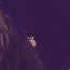 Sara Evans Shut Up And Dance Live Walk The Moon Cover
