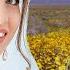 СВАДЬБА ХИТЫ ШАНСОНА ДЛЯ ТАНЦПОЛА WLV ПЕСНЯ ЗАЖИГАЛКА RUSSISCHE MUSIK RUSSIAN MUSIC HITS WLV