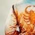 Drive Soundtrack Album Preview Official Video Cliffmartinez