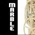 Wintergatan Marble Machine Blind Drum Cover The8BitDrummer