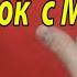 Лёгкие ФОКУСЫ С МОНЕТАМИ Обучение СЦЕНИЧЕСКИЙ ТРЮК Обучение Фокусам с Монетами ФОКУСЫ ОБУЧЕНИЕ