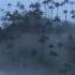 Titanium Pavane Piano Cello Cover David Guetta Faure The Piano Guys Nature Point Of View
