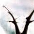 Rotting Christ The Fifth Illusion