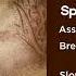 Assassin S Creed Mirage Spices Slowed