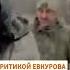 Евкуров раскритиковал кадыровцев в Украине Shorts