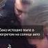 Британский коп спас собаку из раскаленной машины
