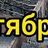 1 сентября Трагедия в Беслане