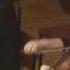 NIU Philharmonic Mozart Divertimento In D K 136 I Allegro