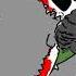 SCP 682 неуязвимая рептилия