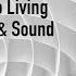WSU Master Class From Chemistry To Living Materials Matter Sound With Markus Buehler
