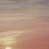 Noisecontrollers Bass Modulators Solar Official Music Video