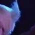 I Ran So Far Away A Flock Of Seagulls 1 Hour Loop Official HD Audio Live Video Remastered HD