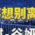 陀枪师姐2021 主题曲 我不想别离 王灝兒 JW 片尾曲 习惯 谷娅溦 动态歌词 Tiktok China Music Douyin Music