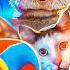 The Amazing Digital Circus Theme But Memes Sing It 2 360º VR