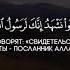 Коран Сура 63 Лицемеры Чтец Абдуллах Хумейд