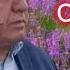 Чумахон Сафаров 2022 Модарнома Jumakhon Safarov 2022 Modarnoma