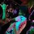 Take Me Back To Jamaica Please Jamaica Club Dance Sexy