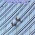 Brave Workers At High Altitude The Courage Of Window Cleaners