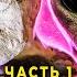 Кто торгует пришельцами Мумии гуманоидов Наска большая афера Серия 1 Прожектор Лженауки