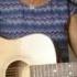 Sia Alive Acoustic RC Cover