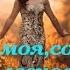 песня Милая моя солнышко лесное