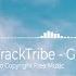 TrackTribe Guess I Ll Never Know
