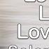 Selena Gomez Love You Like A Love Song Saxophone Cover By Melodic Sax