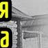 Настоящая история Павлика Морозова