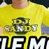 5 Little Monkey TikTok Budots Viral Dj Sandy Remix
