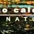 Al Natural Tego Calderón